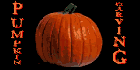 Pumpkin Designs